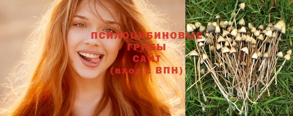 СК Бронницы