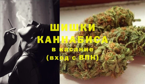 СК Бронницы
